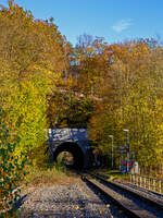 Herbstzeit im Hellertal.....