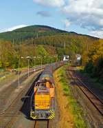   Goldner Oktober.....