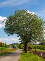 Zwar wenig Zug, aber ich hoffe es findet trotzdem Gefallen...