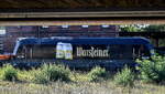 Belegbild: Westf�lische Landes-Eisenbahn GmbH, Lippstadt (WLE) mit ihrer optisch v�llig umgestalteten Lok  22  (NVR:  92 80 1223 056-3 D-WLE ) bei Gleisbauarbeiten H�he Bahnhof Rathenau mit einem Ganzzug Drehgestell-Flachwagen am 18.09.26