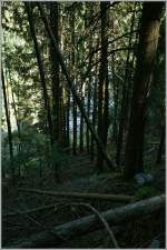 Ein Bahnsuchbild f�r Fortgeschritten: MGB HGE mit einem Regionalzug nach Zermatt im Wald zwischen Kalpetran und St.