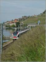 Ganz klar, und mit Absicht,  Motiv verdeckt ;  aber wie sollte sonst der nun einsetzende Wuchs der Vegetation dargestellt werden?  Bei Rivaz, am 27.