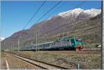 Die Trenord E 464 238 (UIC 91 83 2464 238-4 I-TN) mit ihrem Regionalzug 10415 von Domodossola nach Milano Porta Garibaldi kurz nach Premosello Chiavenda.