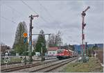 Die ÖBB 1116 098 nähert sich von Bregenz kommend dem Einfahrvorsignal von Lindau Hbf, während die Form Haupt- und Vorsignale von Lindau Reutin von der Gegenseite her das Bild zieren.