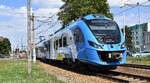 Polregio sp.