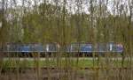 Bei einem Baustoffhändler in der Nähe von Teltow auf Nebengleisen stand eine Doppeltraktion 225ér der nordbayerischen NBE Rail GmbH, leider aus dem Fenster durchs Dickicht einer