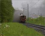 Vapeur Val-de-Travers: Train  Au fil de l'Areuse .