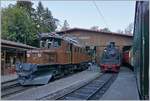 Anl�sslich des 50 Jahre Jubil�um der B-C kam es im Rahmen des Mega Bernina Festivals zum wohl einmaligen Treffen zweier einmaliger Charakterk�pfe: des RhB Krokodils Ge 4/4 182 und der SEG G 2x3/3 104