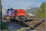 Die SBB Cargo Am 843 068-8 rangiert im RB Biel.