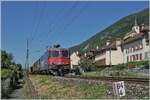 Die SBB Re 4/4 II 11247 (Re 420 247-9) ist bei Ligerz mit einem Güterzug auf dem Weg in Richtung Biel/Bienne. 

11. Juli 2025