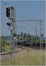 BLS Re 4/4 166 - 173, ab 1970; die BLS Re 4/4 173  Lötschental  ist bei der WB Haltstelle Altmarkt auf dem Weg in Richtung Olten.