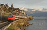 Ein Klassiker von der nun hin reichlich bekannten Fotostelle im Abendlicht: eine SBB Re 460 ist mit ihrem IR 90 bei St-Saphorin auf dem Weg nach Genève Aéroport.
