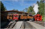 50 Jahre Blonay Chamby - MEGA BERNINA FESTIVAL: Unter dem Titel  Aligenment  fand in Chaulin eine Aufstellung der Bernina Fahrzeuge statt.