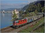 Die Re 420 250-3 mit einem Güterzug bei Villeneuve, im Hintergrund das Château de Chillon und ein ankommende Dampfschiff  Italie .