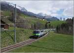 Bei Enge im Simmental ist die BLS Re 4/4 II 504 mit ihrem EW III RE auf dem Weg nach Zweisimmen.