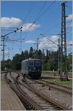 Die mittlerweile recht ber�hmte da letzte gr�ne P Re 4/4 II 11161 in Singen.