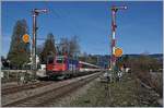 Die SBB Re 421 392-2 erreicht mit ihrem EC 195 von Zürich nach München in Kürze Lindau Hbf und passiert gerade die westlichen Einfahrsignale von Lindau Reutin.