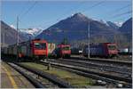 Jede Menge SBB Re 484 in Domodossola: Re 484 001 , 007 und 003 im RoLa Verkehr, bzw in Rangierdienst f�r die RoLa; dazu gesellen sich noch eine SBB International Re 474 und zwei BLS RAe 485.