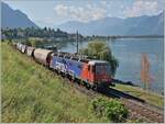 Die SBB Re 6/6  11623 (Re 620 023-2)  Rupperswil  ist kurz nach Villeneuve mit dem leeren Spaghetti Zug auf dem Weg nach Vallorbe.