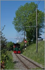 Reisende ab Blonay, die nicht im  Riviera Belle Epoque  Zug einsteigen konnten, fanden im nachfolgenden Tramway Zug auch kaum Platz, dafür konnte ich diesen Zug beim der Hippschen Wendescheibe,