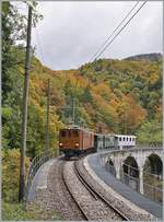 Vor dem Hintergrund des schon etwas bunten Herbstwalde fährt die Blonay-Chamby Bernina Ge 4/4 81 mit ihrem Personenzug bei  Vers-Chez-Robert  über die Baie de Clarens Brücke in Richtung