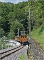 Das  Festival Suisse de la vapeur  (Schweizer Dampffestival 2025) zeigt auch immer wieder herrliche elektrische Züge. Besonders eindrücklich fand ich die RhB Bernina Bahn Ge 4/4 81 der Blonay Chamby Bahn die hier bei Vers-chez-Robert auf der Fahrt nach Chamby fotografiert werden konnte. 

8. Juni 2025