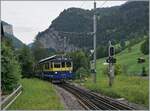 Der BOB ABeh 4/4 313 erreicht mit seinem Regionalzug von Interlaken Ost kommend sein Ziel Lauterbrunnen. 

8. Aug. 2024