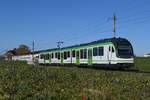 2025-11-05 LEB Echallens
Automotrice Stadler 
Be 4/8 65
