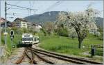 Fr�hling in St-L�gier Gare.