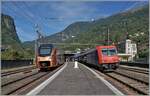 Während der SOB RABe 526 208  TRAVERSO  als RE  Treno Gottardo  in Richtung Norden unterwegs ist und in Faido hält, fährt die SBB Re 484 009 mit ihrem Güterzug nach Süden in Faido durch. 

4. Sept. 2023