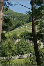 Hoch oben am Hang f�hrt ein A-L Zahnradbahnzug talw�rts.