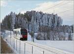 Zwischen Vaulruz Sud und La Verrerie ist der tpf SURF ABe 2/4 - B - Be 2/4 auf dem Weg von Bulle nach Palézieux und konnte vor dem Hintergrund der Schneebedeckten Tannen vom Autobahnparkplatz