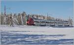Kurz bevor die Warmfront mit Wind und Regen kam und zumindest den Schnee auf den Bäumen wegschmolz, konnte ich diesen TPF RABe 527 auf der Fahrt nach Bern zwischen Vaulruz und Sâles