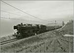 Die DB 01 202 des Vereins Pacific 01 202 besuchte auf einer Westschweizrundfahrt die Strecke des Train des Vignes, die Aufnahme entstand kurz nach Chexbres.