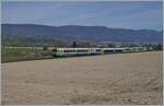 Zwischen Büren an der Aare und Dotzigen ist der BLS RBDe 565 739 mit einem Jumbo B und ABt auf dem Weg von Büren an der Aare nach Lyss.