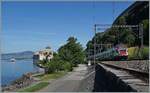 Schiff, Schloss und Bahn, gar nicht so einfach alles auf ein Bild zu bekommen. 
Ein SBB RABe 511 ist beim Château de Chillon auf dem Weg nach St-Maurice und das Dampfschiff  Italie  ist auf der Rundfahrt Vevey - Montreux - Bouvert - St-Gingolph - Vevey. 

21. Mai 2022