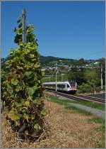 Ein Flirt im schon leicht herbstlichen Lauvaux bei Bossière.