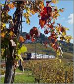 Herbst im Lauvaux: ein RABe 511 auf dem Weg nach Romont bei Grandvaux.