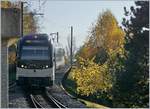 Der CEV MVR ABeh 2/6 7505 erreicht von Blonay kommend den Bahnhof Clies.