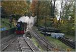 Die G 2/2 N° 4 RIMINI (Baujahr 1900 / Krauss) der Blonay-Chamby Bahn erreicht von Chamby kommend die Abzweigung zum Museumsbahnhof Chaulin.