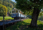  Le Chablais en fête  bei der Blonay Chamby Bahn.