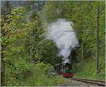 Festival Suisse de la vapeur (Schweizer Dampffestival 2023) - Die beiden kleinen Dampfloks G 2/2 N° 4  Rimini  und G 3/3 N° 5 mühen sich kurz nach Chaulin mit einem Zug in Richtung Chamby ab. 

24. Mai 2023