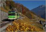 Der A-L BDeh 4/4 313 mit Bt erreicht von Leysin kommend den Halt Fontannay.