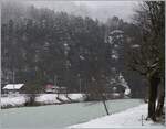 Der Zentralbahn Be 125 013 erreicht in Kürze von Innertkichen kommend die Haltestelle Aareschlucht West. 

16. März 2021