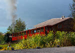 Die Kohle befeuerte BRB 6 f�hrt am 01.10.2011 um 9:45 Uhr mit ihren Zug (zwei Vorstellwagen) zum Brienzer Rothorn hinauf. 

Die H 2/3 der 2. Generation wurde 1933 unter der Fabrik-Nr. 3567 bei der SLM - Schweizerische Lokomotiv- und Maschinenfabrik in Winterthur gebaut. 

Das Pflichtenheft verlangt die Bef�rderung von zwei statt nur einem 4-achsigen Personenwagen. 

Technische Daten:
Spurweite: 800 mm
Achsfolge: 2zz1' (d.h. 2 nicht angetriebene Tragachsen, 2 Triebzahnr�der, 1 bewegliche Laufachse)
Zahnstange System: Abt
Leistung: 220 kW (300 PS)
Zugkraft: 50 kN 
H�chstgeschwindigkeit bei 250 ‰ und unter Volllast: 9,0 km/h
Leergewicht: 16.700 kg
Dienstgewicht: 20.000kg 
L�nge �ber Puffer: 6.400 mm
Tragraddurchmesser: 653 mm
Triebzahnraddurchmesser: 573 mm
Laufraddurchmesser: 520 mm
Zahnrad�bersetzung: 1:2,2
Kohlenvorrat im Kasten: 550 kg (Verbrauch 350 kg/Fahrt)
Wassermenge im Kessel: 1.050 Liter
Wasservorrat im Kasten: 1.500 Liter
Wasserbedarf pro Fahrt Brienz-Rothorn retour: 2.000 Liter
Kesseldruck: 14 bar
�berhitzung: auf 380� C (Grossrauchr�hren-�berhitzer System Schmidt)
Zylinderhub: 400 mm 
Keine Feuerung bei Talfahrt: Bei Talfahrt wird die Dampfmaschine als Luftpumpe betrieben: sie bremst den gesamten Zug, zur K�hlung muss Wasser eingespritzt werden
Gegendruckbremse: System Riggenbach
Handbremsen: auf F�hrer- und auf Heizerseite
Personalbedarf: 1 Lokf�hrer und 1 Heizer
    
1971/72: grundlegende Sanierung, neue Feuerb�chsen durch das Ausbesserungswerk Offenburg der DB
1990: Umbau der Feuerung auf St�ckkohle, statt Brikettfeuerung
    
Die Lok kann im 2 1/2-Stunden-Takt eingesetzt werden.
