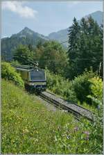 Nicht viel Zug, daf�r mehr Sommer zeigt diese Rochers de Naye Bahn Bild.