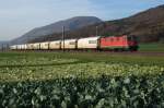 SBB: Lebensmittelzug mit der Re 4/4 II 11185 im solothurnischen G�u unterwegs am 16.